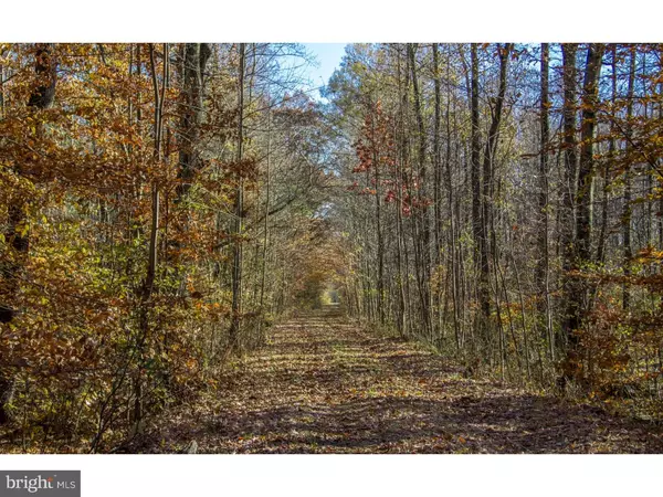 Townsend, DE 19734,LOT #3 PINE TREE RD