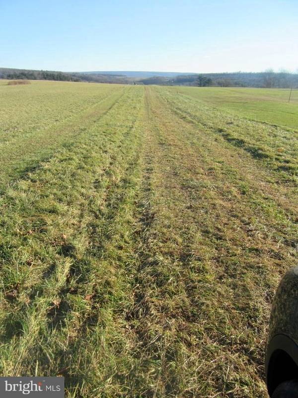 Pine Grove, PA 17963,00 MOUNTAIN RD