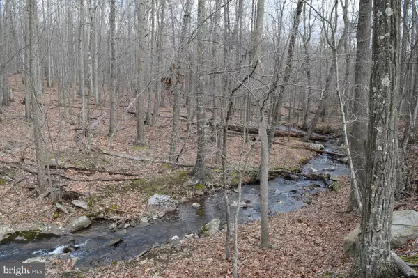 Lost River, WV 26810,BEARS HEAD