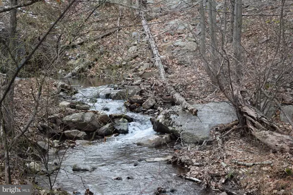 Lost River, WV 26810,BEARS HEAD