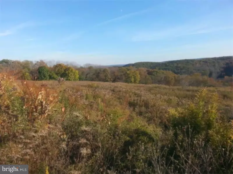 LOT 4 WOODLAND DR, Auburn, PA 17922