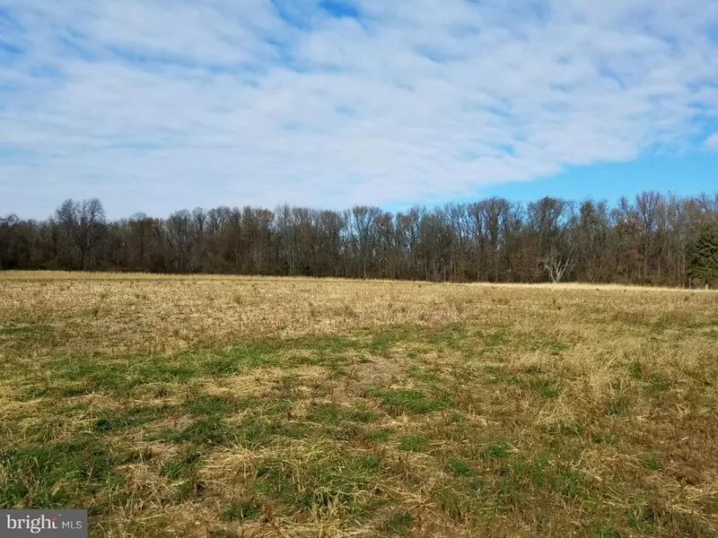 LOT 2 PINEWOOD RD, Earleville, MD 21919