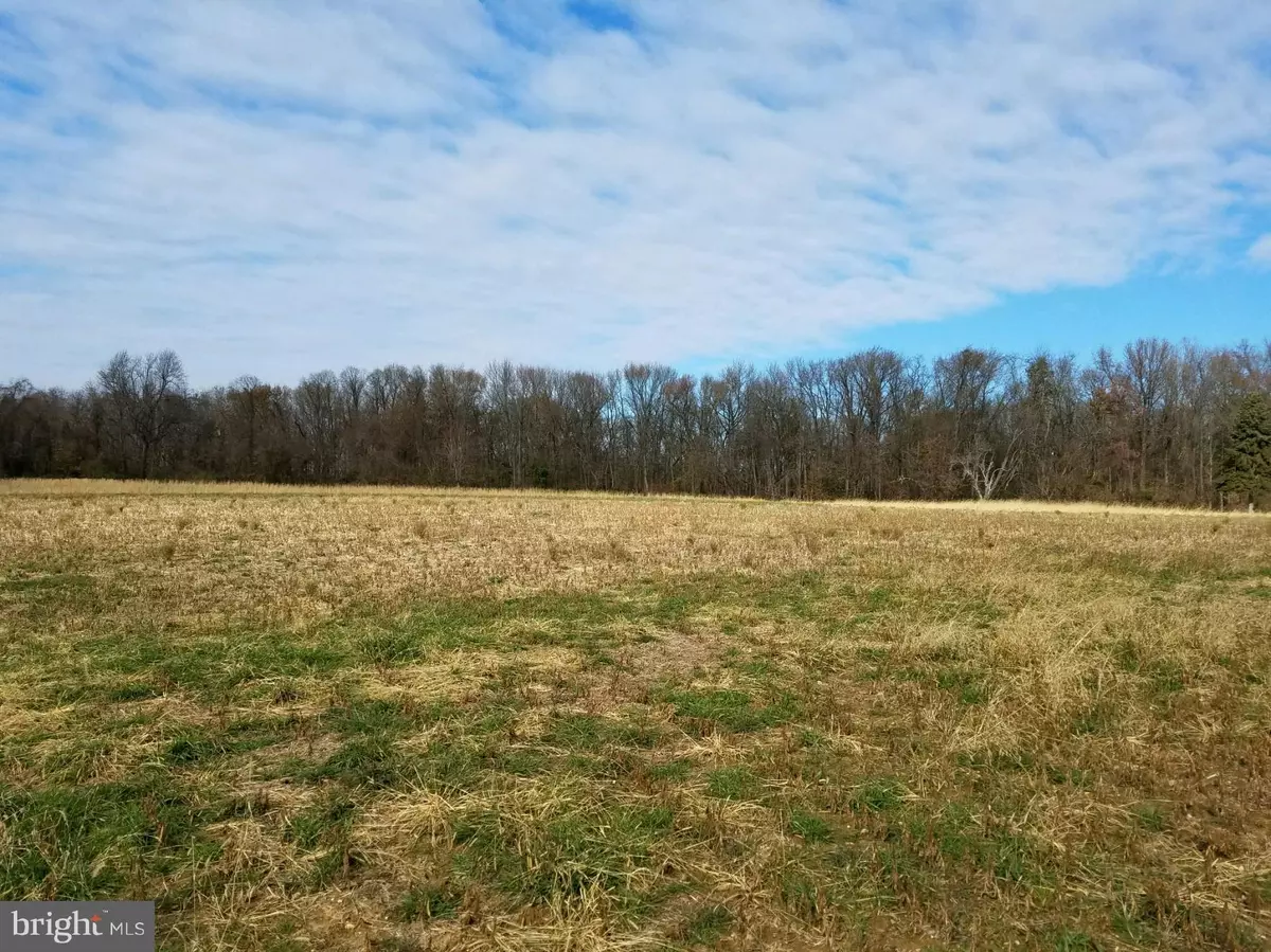 Earleville, MD 21919,LOT 2 PINEWOOD RD