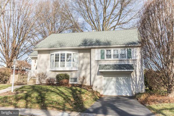 503 WILSON PL, Reading, PA 19607