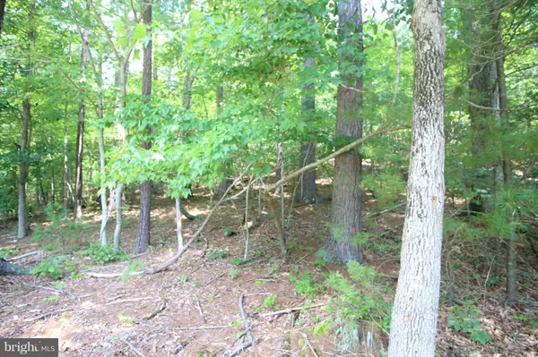 LOT 9 CROSS CREEK DRIVE, Wardensville, WV 26851