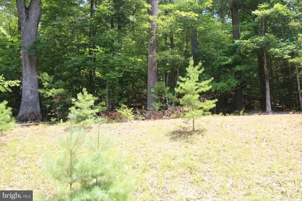 Wardensville, WV 26851,LOT 9 CROSS CREEK DRIVE