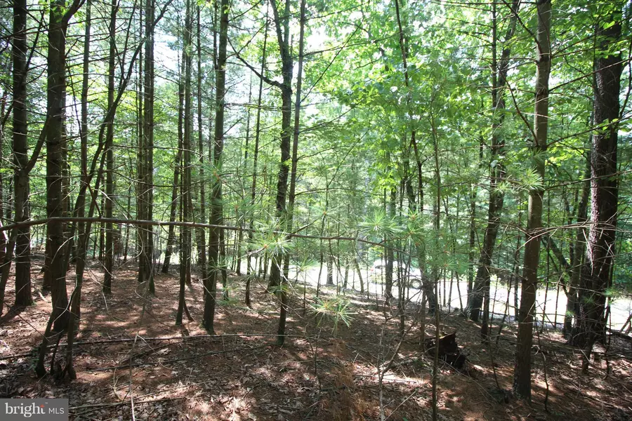 LOT 14 SLATE ROCK PASS ROAD, Wardensville, WV 26851