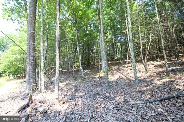 Wardensville, WV 26851,LOT 14 SLATE ROCK PASS ROAD