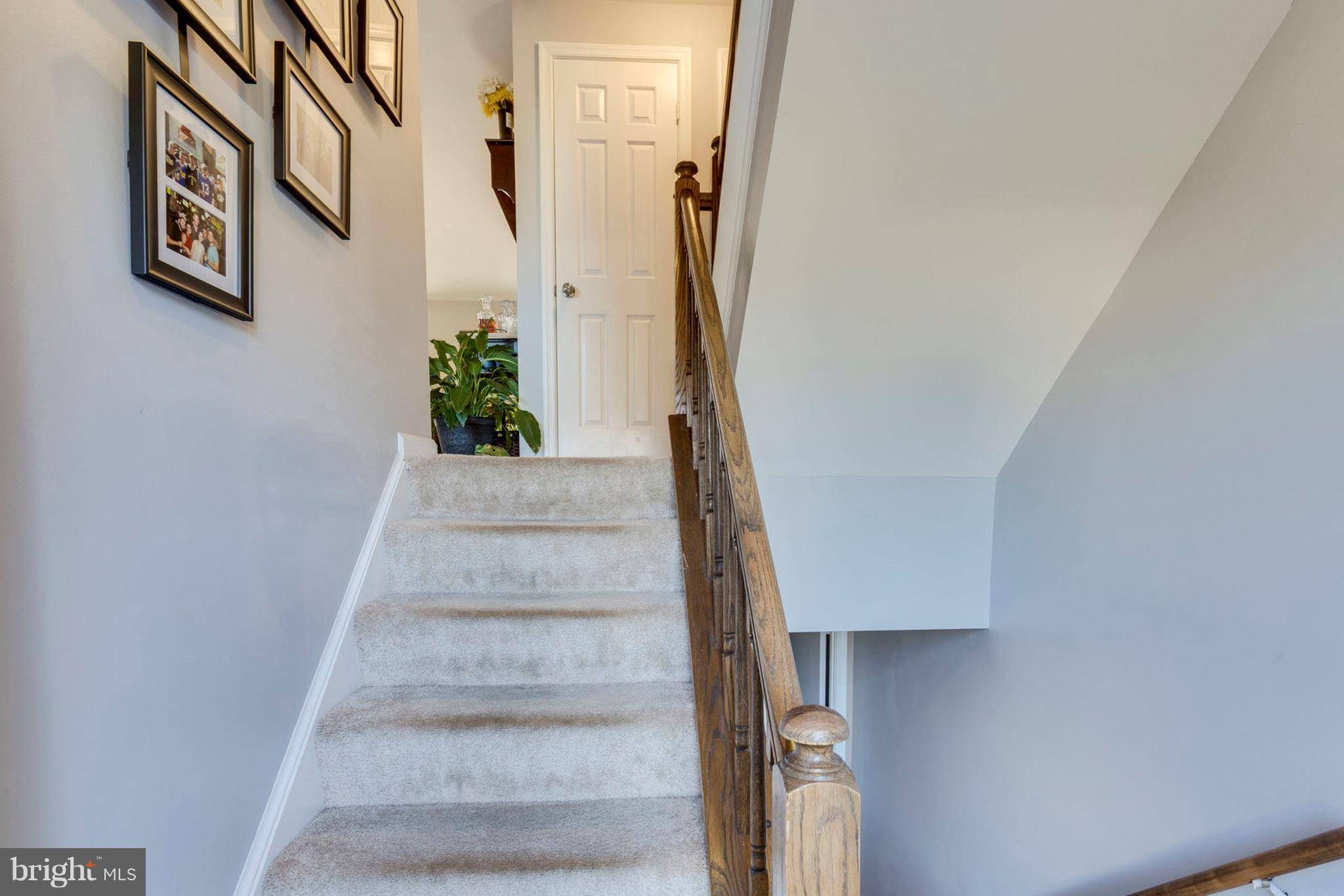 Alexandria, VA 22315,6404 BIRCHLEIGH CIR