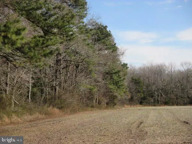 0 PARKER RD, Georgetown, DE 19947