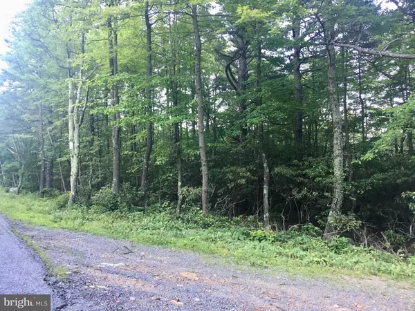 Winchester, VA 22603,LOT 332, 333 ARCHWOOD TRL