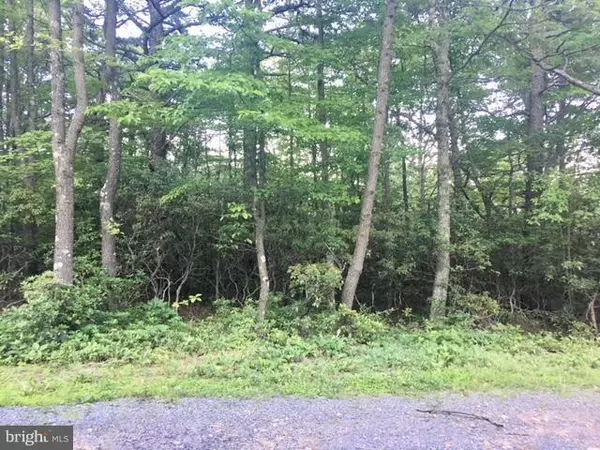 Winchester, VA 22603,LOT 332, 333 ARCHWOOD TRL