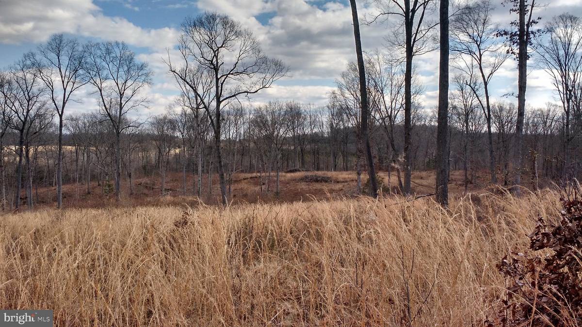 Rixeyville, VA 22737,0 RYLAND CHAPEL RD