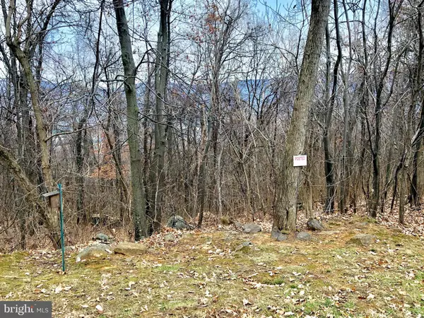 SEVEN OAKS DR, Bentonville, VA 22610