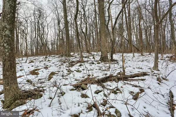 Dillsburg, PA 17019,LOT 2 W RIDGE