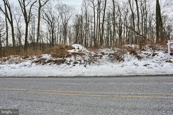 Dillsburg, PA 17019,LOT 2 W RIDGE