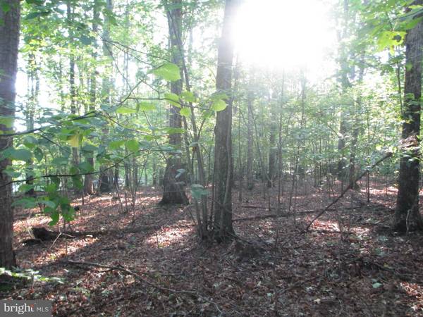 Mineral, VA 23117,LOT 102 BERNIE CIRCLE