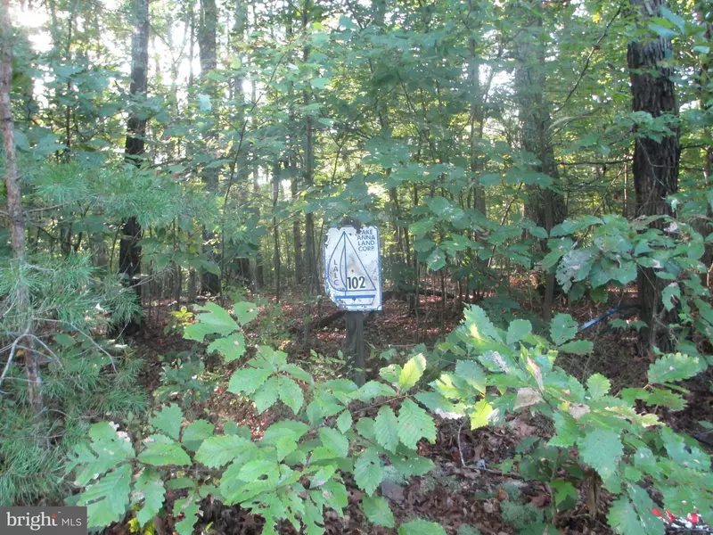 LOT 102 BERNIE CIRCLE, Mineral, VA 23117