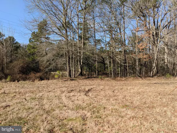 Cambridge, MD 21613,1415 BAYLY RD