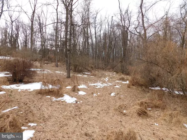 Dillsburg, PA 17019,LOT 2 DORSEY LN EXD