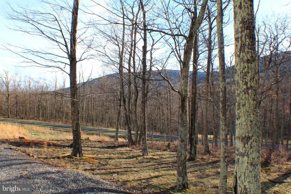 Maysville, WV 26833,LOT 54 GOLDENSEAL ROAD