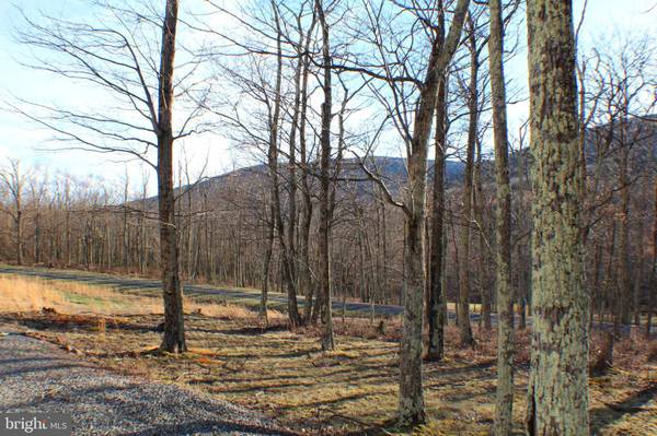 LOT 54 GOLDENSEAL ROAD, Maysville, WV 26833