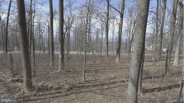 0 BLUE RIDGE MOUNTAIN NEAR 19488, Bluemont, VA 20135