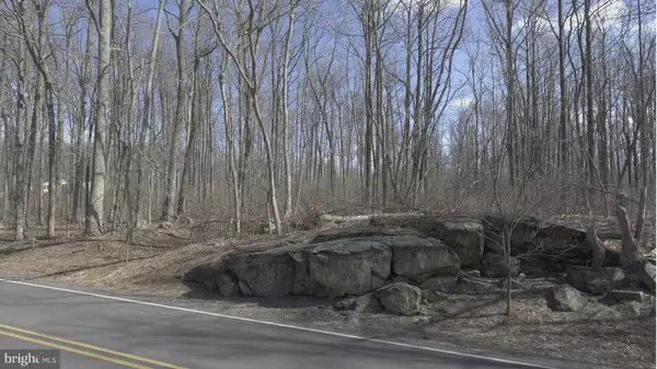 Bluemont, VA 20135,0 BLUE RIDGE MOUNTAIN NEAR 19488