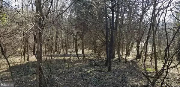 Rileyville, VA 22650,VALLEY CREST DRIVE