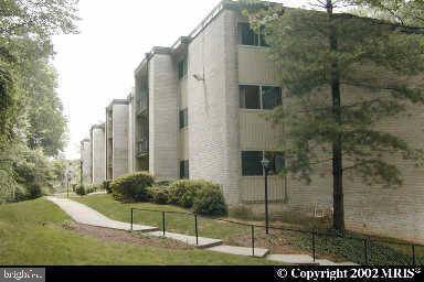 Rockville, MD 20852,5200 CROSSFIELD CT #137 (11)