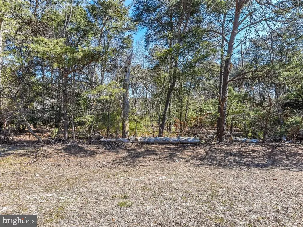 Lewes, DE 19958,LOT 57 WOODS DR