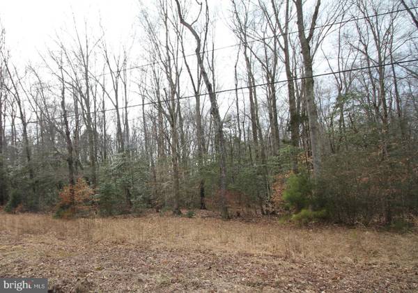 LOT 4A PLAT D S2 ALBROUGH BLVD, Colonial Beach, VA 22443