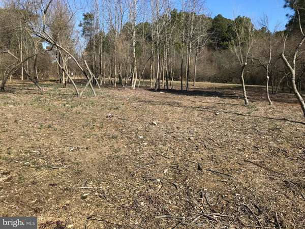 LOT 3 BOLINGBROKE LN, Trappe, MD 21673