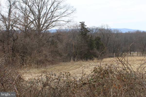 Fleetwood, PA 19522,LOT #2 OLEY FURNACE ROAD