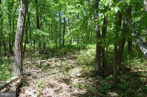 Shippensburg, PA 17257,LOT 2 RIDGE RD