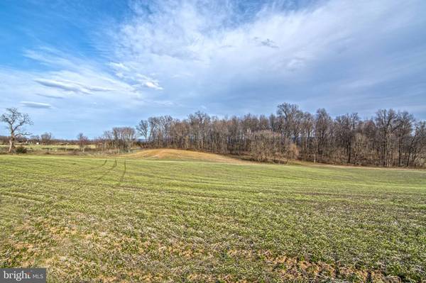 White Post, VA 22663,LOT 44 CARTER LINE RD