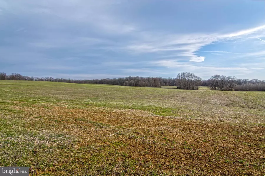 LOT 44 CARTER LINE RD, White Post, VA 22663