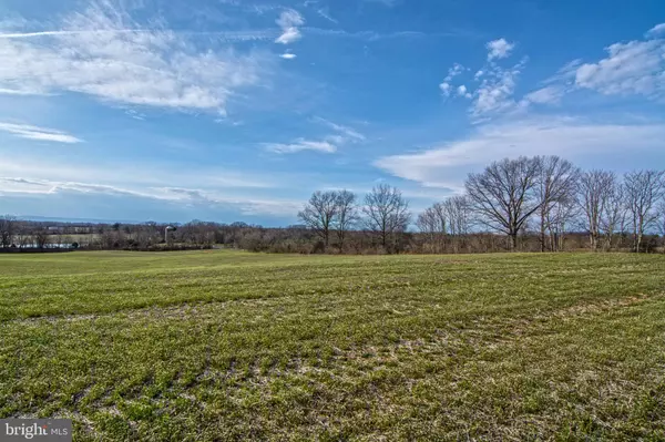 White Post, VA 22663,LOT 44 CARTER LINE RD