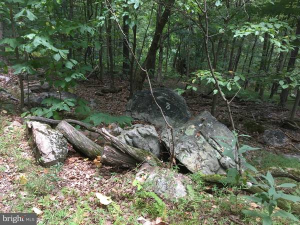 TROUGH OVERLOOK RD, Old Fields, WV 26845