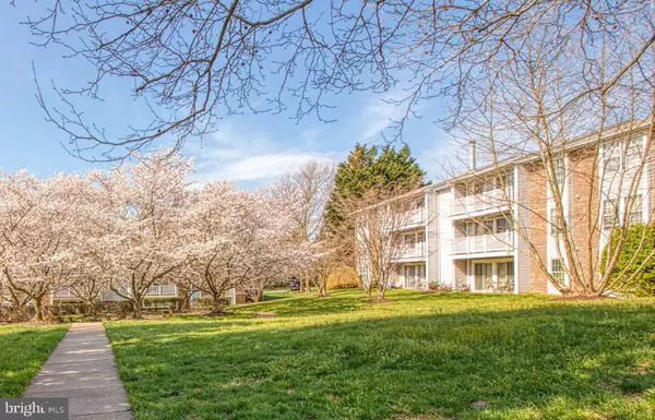 301 PALMSPRING DR #10, Gaithersburg, MD 20878