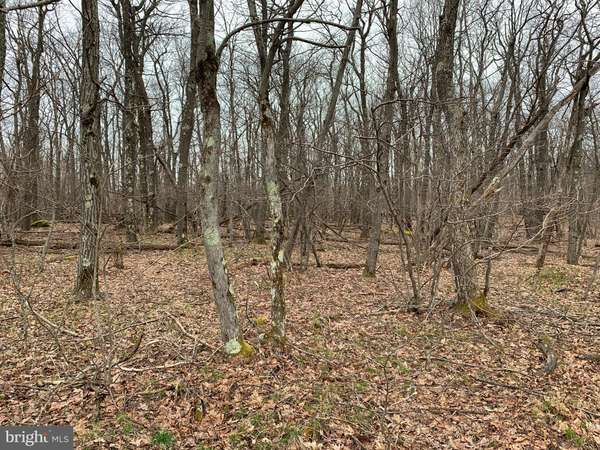 LOT 150 SHAWNEE VIEW RD, Central City, PA 15926