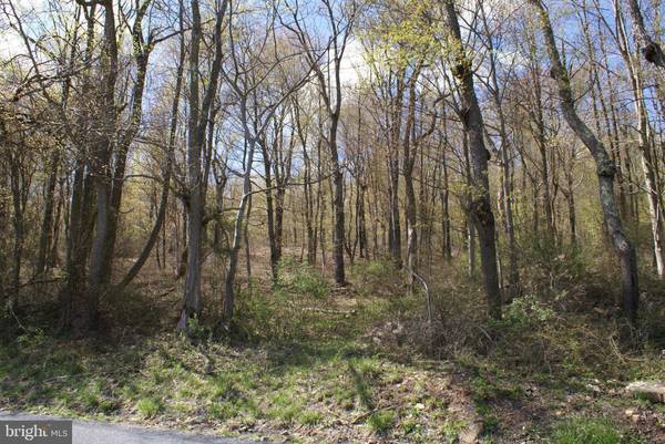 Upperstrasburg, PA 17265,13361 UPPER STRASBURG #LOT 3