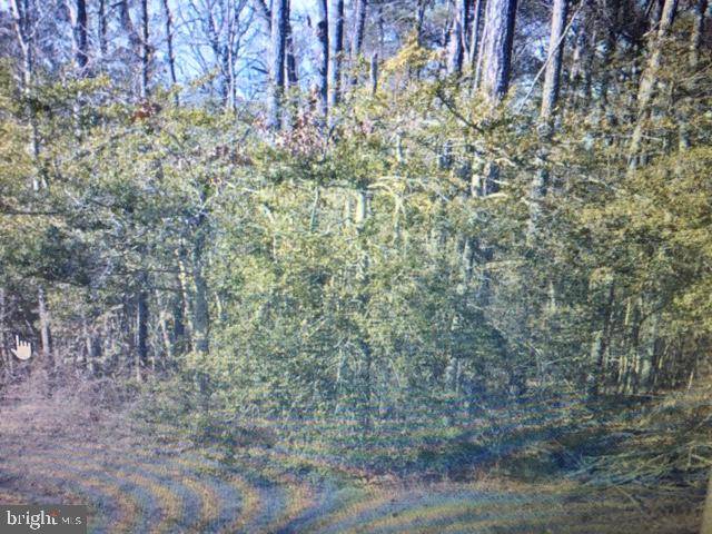 Abell, MD 20606,LOT #6 VAN WARD RD