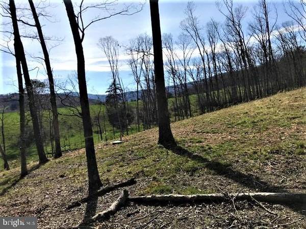 OFF UPPER PINE GROVE ROAD, Baker, WV 26801