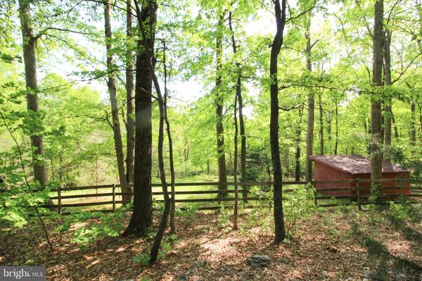 New Market, VA 22844,843 KERNS MOUNTAIN LN