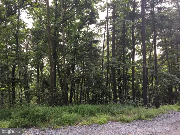 Haymarket, VA 20169,2417 JACKSON DR