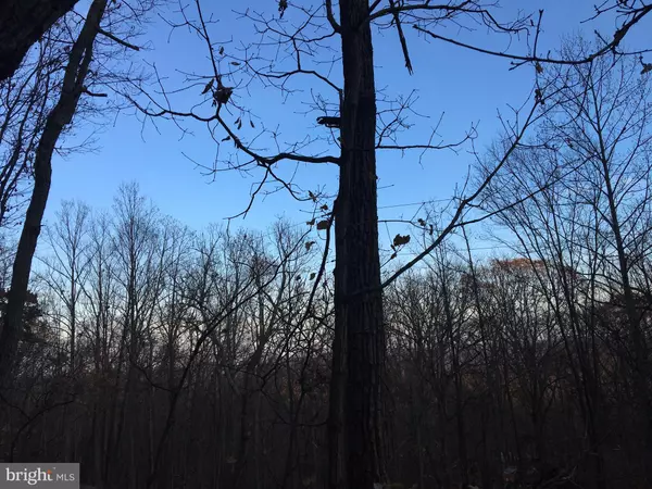 Haymarket, VA 20169,2415 JACKSON DR