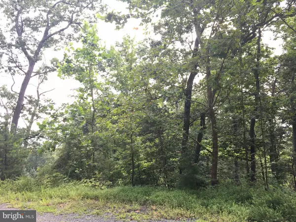 Haymarket, VA 20169,2415 JACKSON DR