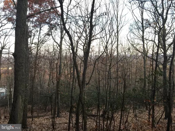 Haymarket, VA 20169,2415 JACKSON DR