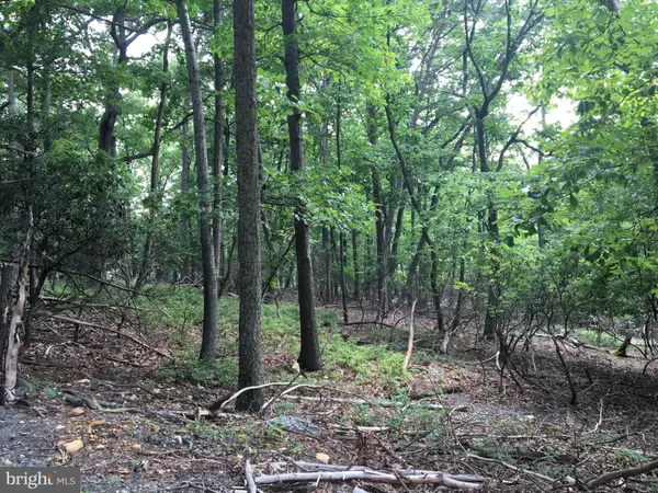 Haymarket, VA 20169,2415 JACKSON DR